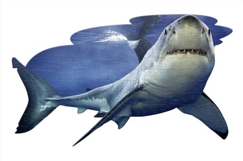 Wow Puzzle junior 100 db - Cápa