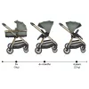 Cangaroo Hydra 2in1 babakocsi - újszülött mózeskosárral - zöld