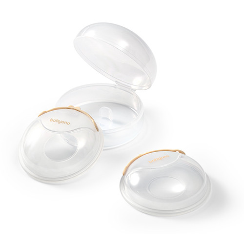 Babyono anyatejgyűjtő kagyló 1468