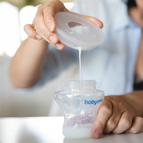 Babyono anyatejgyűjtő kagyló 1468