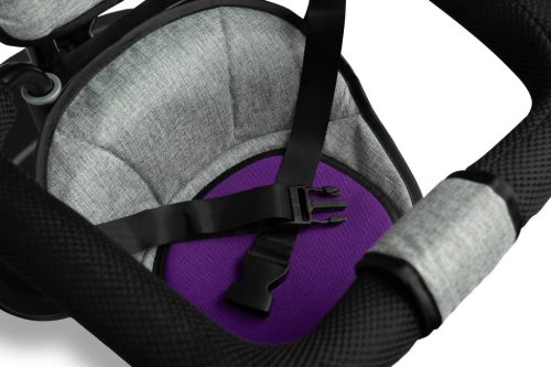 Toyz BUZZ tricikli - purple