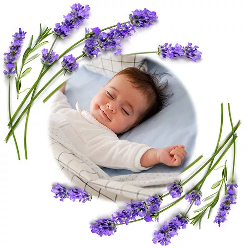 Babyono thermo párna cseresznyemaggal és levendulával - szürke 796/02