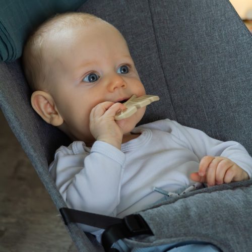 PETITE&MARS Szilikon rágóka TAKE&MATCH Dusty Rose 0m+