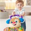 Fisher-Price Tanuló kutyusos járássegítõ GXR71